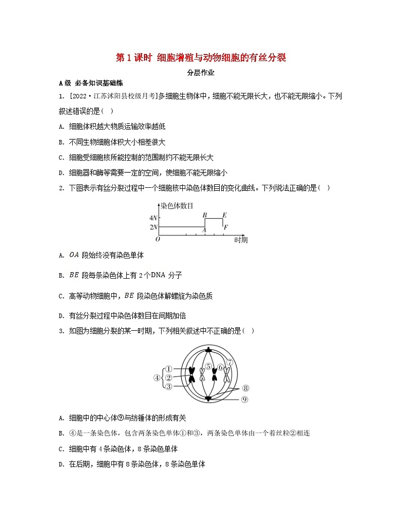江苏专版2023_2024学年新教材高中生物第四章细胞增殖分化衰老和死亡第一节细胞增殖第一课时细胞增殖与动物细胞的有丝分裂分层作业苏教版必修1第1页