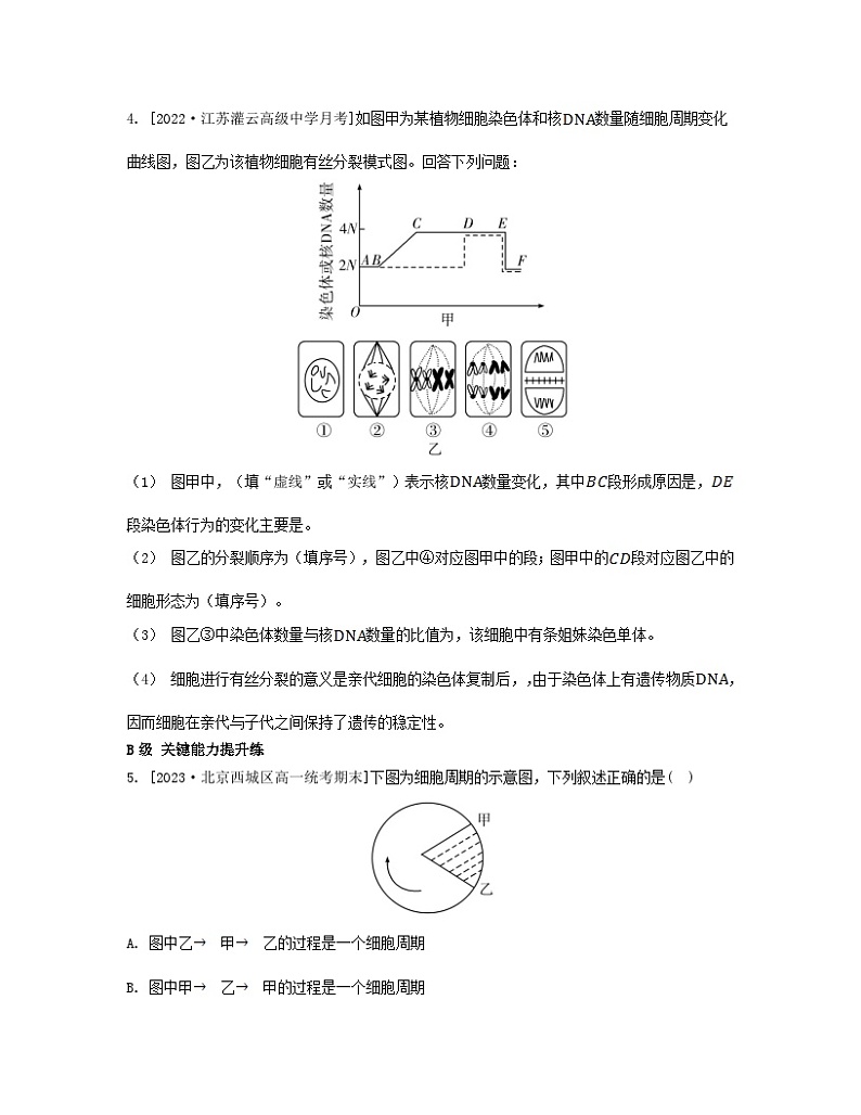 江苏专版2023_2024学年新教材高中生物第四章细胞增殖分化衰老和死亡第一节细胞增殖第一课时细胞增殖与动物细胞的有丝分裂分层作业苏教版必修1第2页