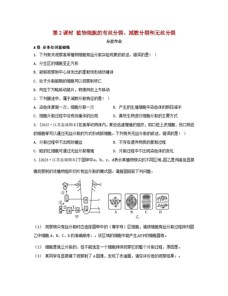 江苏专版2023_2024学年新教材高中生物第四章细胞增殖分化衰老和死亡第一节细胞增殖第二课时植物细胞的有丝分裂减数分裂和无丝分裂分层作业苏教版必修101