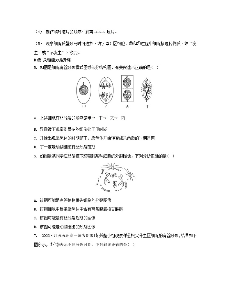 江苏专版2023_2024学年新教材高中生物第四章细胞增殖分化衰老和死亡第一节细胞增殖第二课时植物细胞的有丝分裂减数分裂和无丝分裂分层作业苏教版必修102