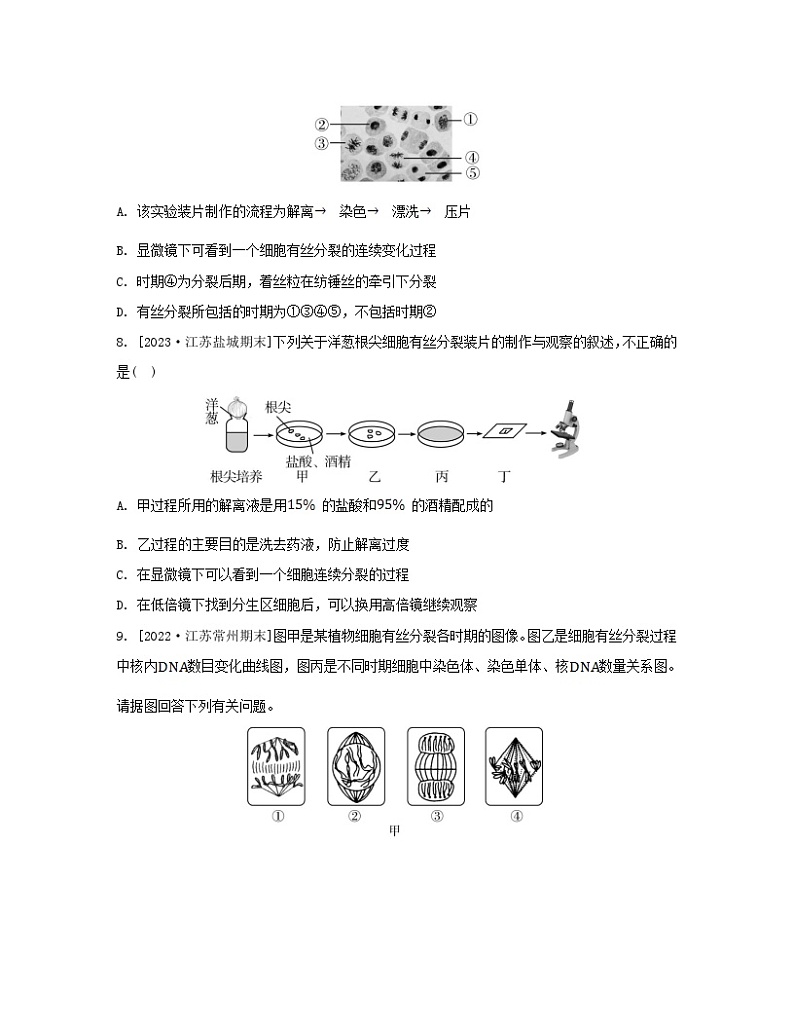 江苏专版2023_2024学年新教材高中生物第四章细胞增殖分化衰老和死亡第一节细胞增殖第二课时植物细胞的有丝分裂减数分裂和无丝分裂分层作业苏教版必修103