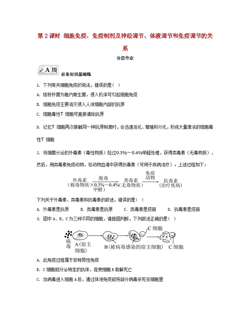 江苏专版2023_2024学年新教材高中生物第三章人的免疫调节与稳态第一节人体的免疫应答第二课时细胞免疫免疫制剂及神经调节体液调节和免疫调节的关系分层作业苏教版选择性必修101
