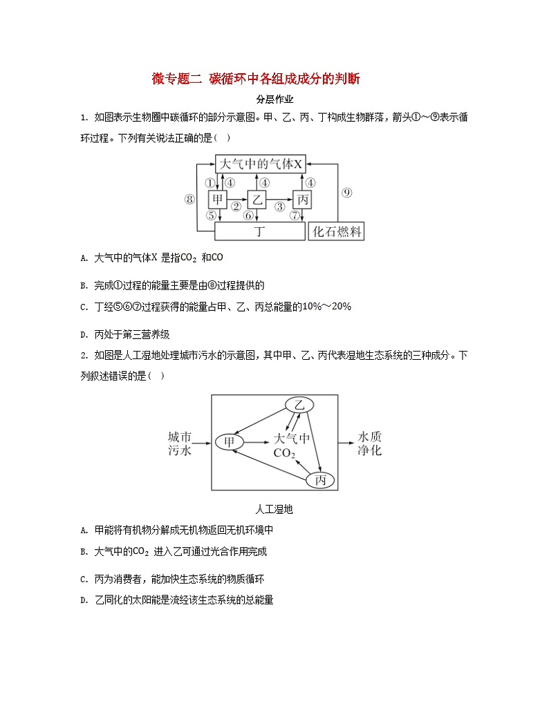 江苏专版2023_2024学年新教材高中生物第三章生态系统微专题二碳循环中各组成成分的判断分层作业苏教版选择性必修201