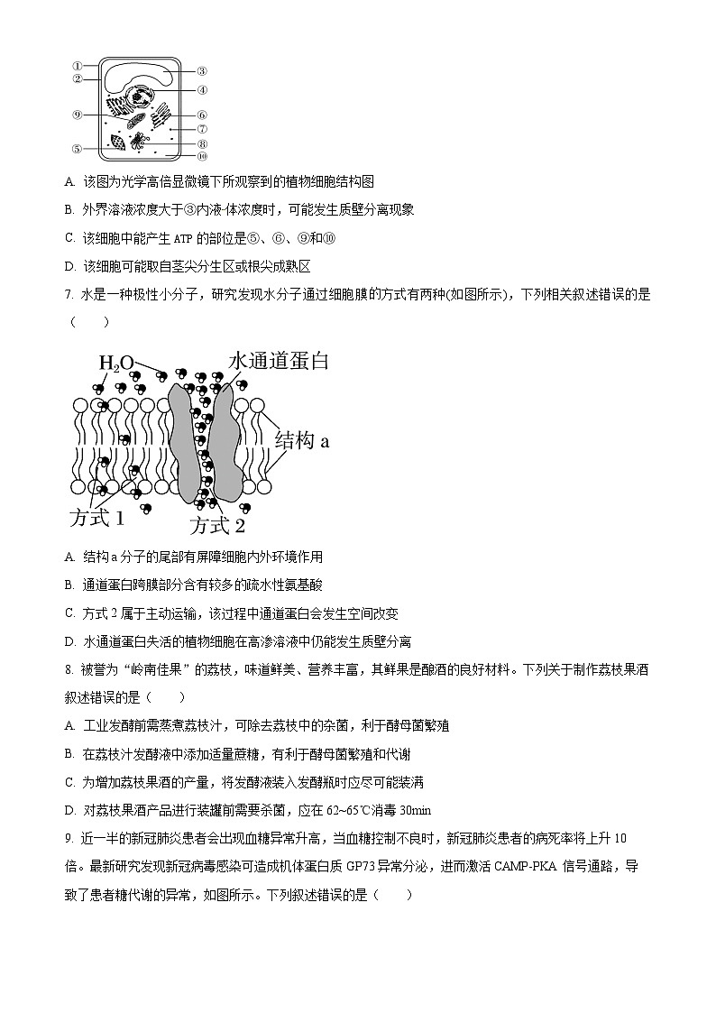 精品解析：天津市武清区杨村一中2023-2024学年高三上学期开学学业质量检测生物试题（原卷版）第2页