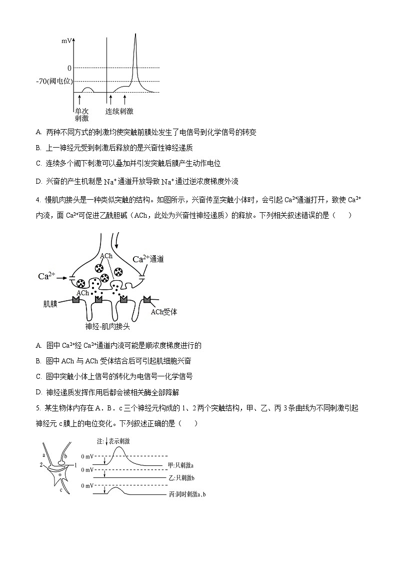 2024扬州高邮高二上学期开学考试生物试题含解析02