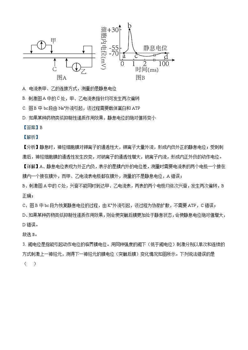 2024扬州高邮高二上学期开学考试生物试题含解析02