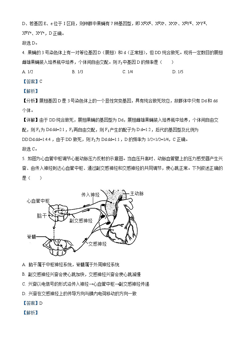 广东省揭阳市惠来县一中2022-2023学年高二下学期第二次月考生物试题（解析版）03
