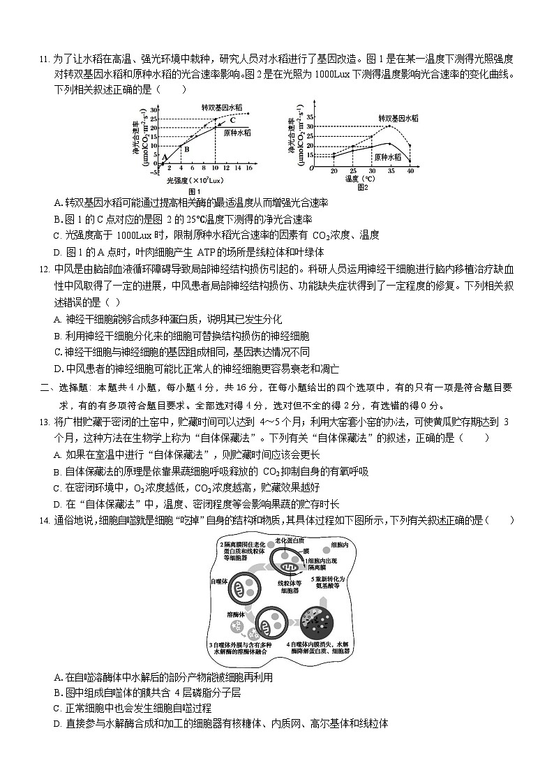 广西百色市名校2023-2024学年高三上学期9月开学考试生物试题第3页