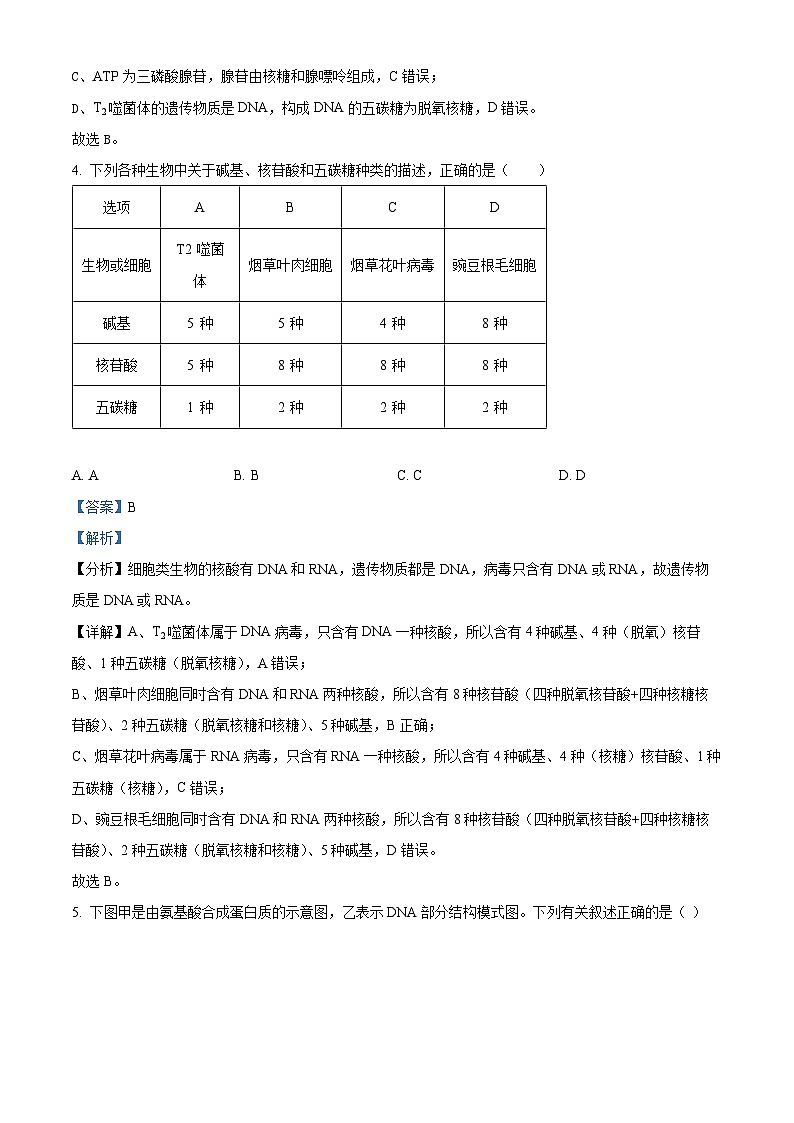 陕西省榆林市二中2023-2024学年高三上学期第一次模拟生物试题（解析版）03