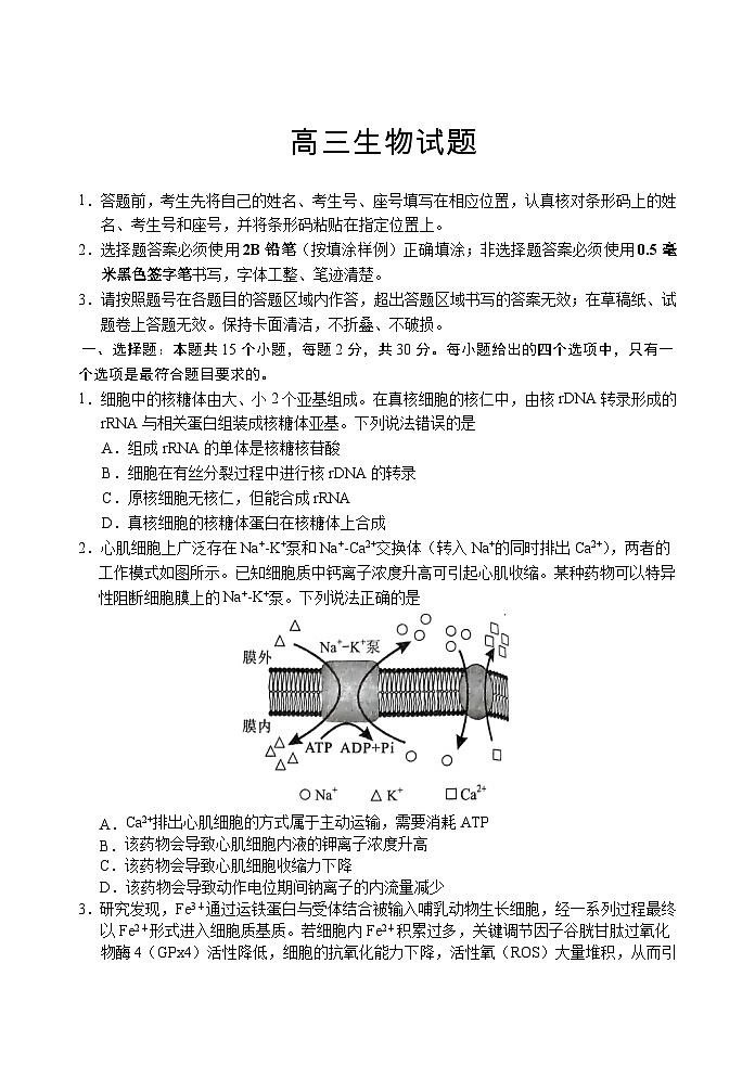 （教研室提供）山东省泰安肥城市2023-2024学年高三9月阶段测试生物试题第1页