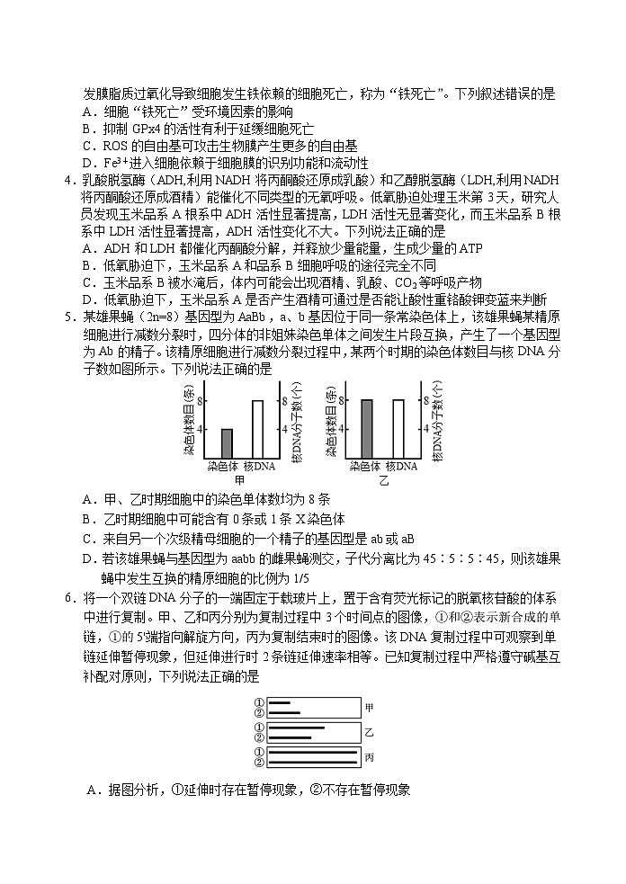 （教研室提供）山东省泰安肥城市2023-2024学年高三9月阶段测试生物试题第2页