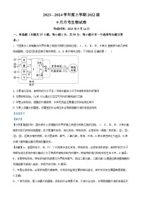 湖北省荆州市沙市中学2023-2024学年高二生物上学期9月月考试题（Word版附解析）