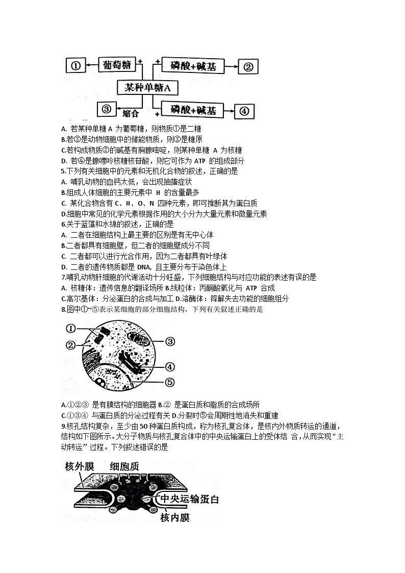 陕西省永寿县中学2023-2024学年高三上学期第一次考试生物试题（含答案）02