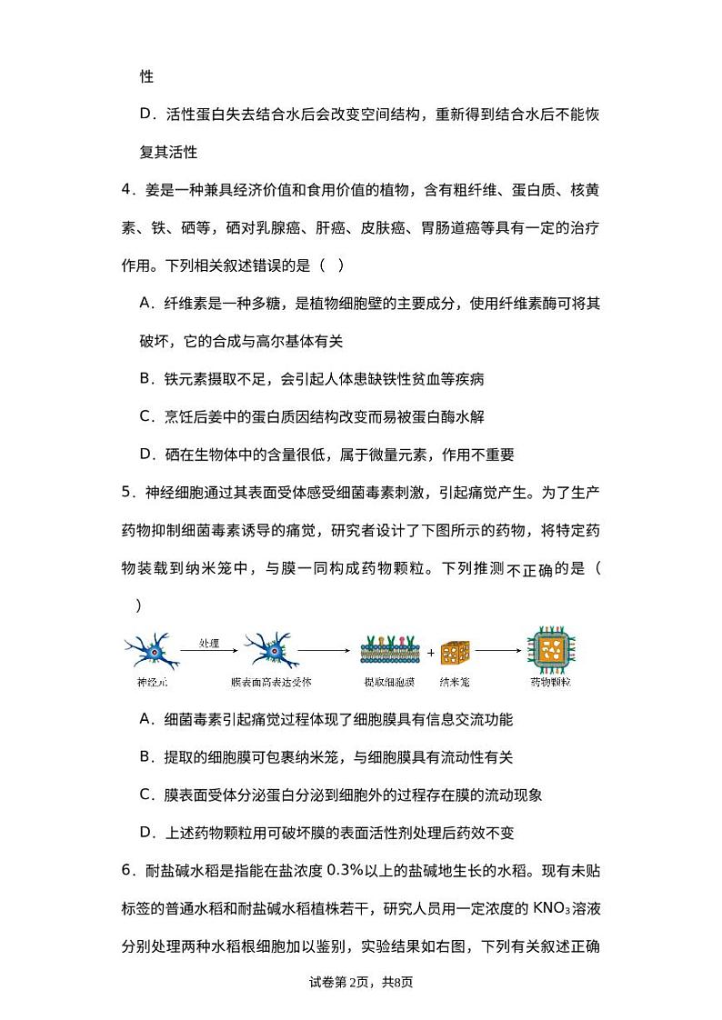 河北省保定市部分高中2023-2024学年高一上学期9月月考生物试题（图片版含答案）02