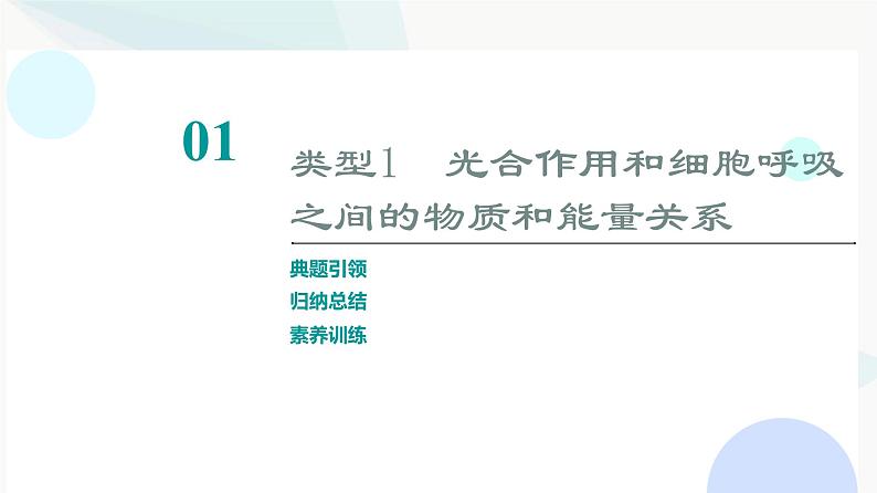 2024届高考生物一轮复习第3单元高频考点进阶课1光合作用与细胞呼吸的综合应用课件02