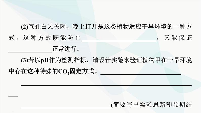 2024届高考生物一轮复习第3单元高频考点进阶课1光合作用与细胞呼吸的综合应用课件04