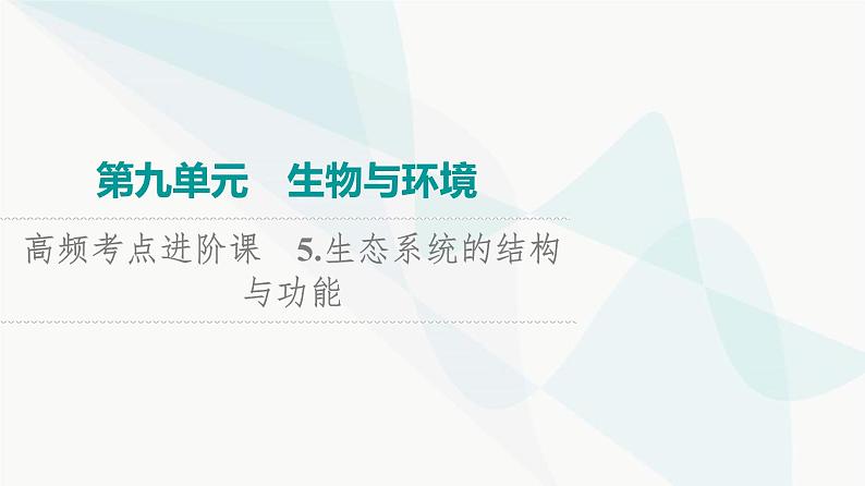 2024届高考生物一轮复习第9单元高频考点进阶课5生态系统的结构与功能课件第1页