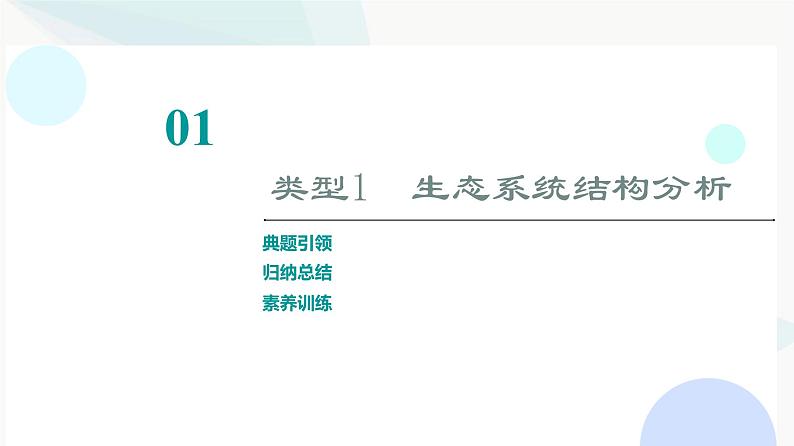 2024届高考生物一轮复习第9单元高频考点进阶课5生态系统的结构与功能课件第2页