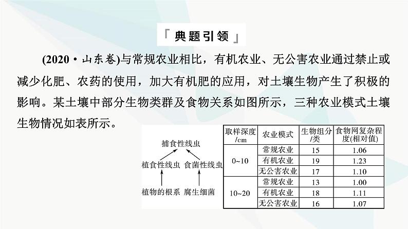 2024届高考生物一轮复习第9单元高频考点进阶课5生态系统的结构与功能课件第3页