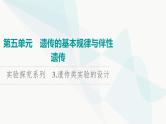 2024届高考生物一轮复习第5单元实验探究系列3遗传类实验的设计课件
