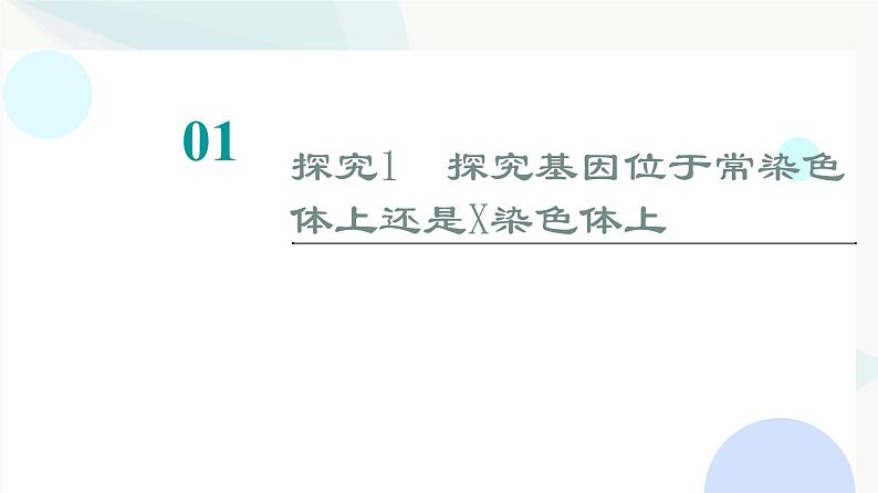 2024届高考生物一轮复习第5单元实验探究系列3遗传类实验的设计课件第2页