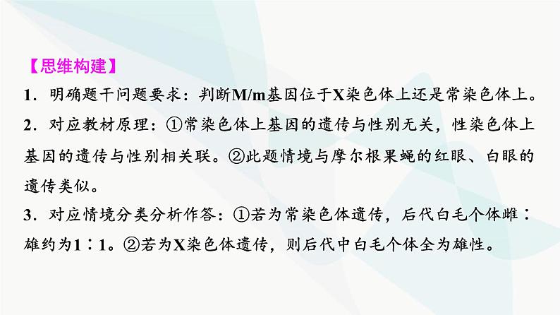 2024届高考生物一轮复习第5单元实验探究系列3遗传类实验的设计课件第5页