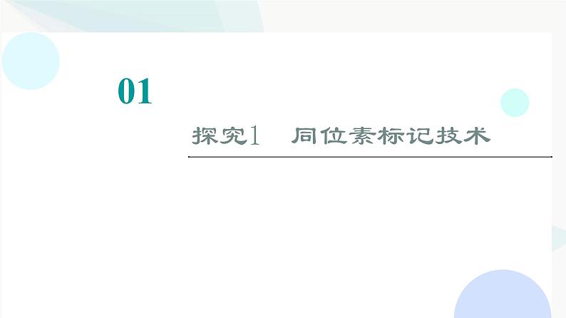 2024届高考生物一轮复习第6单元实验探究系列4实验技术在生物学实验中的应用课件第2页