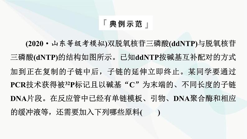 2024届高考生物一轮复习第6单元实验探究系列4实验技术在生物学实验中的应用课件第3页