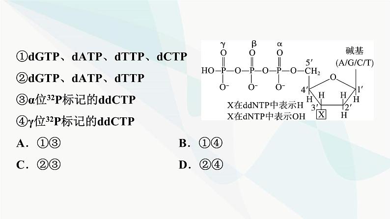 2024届高考生物一轮复习第6单元实验探究系列4实验技术在生物学实验中的应用课件第4页