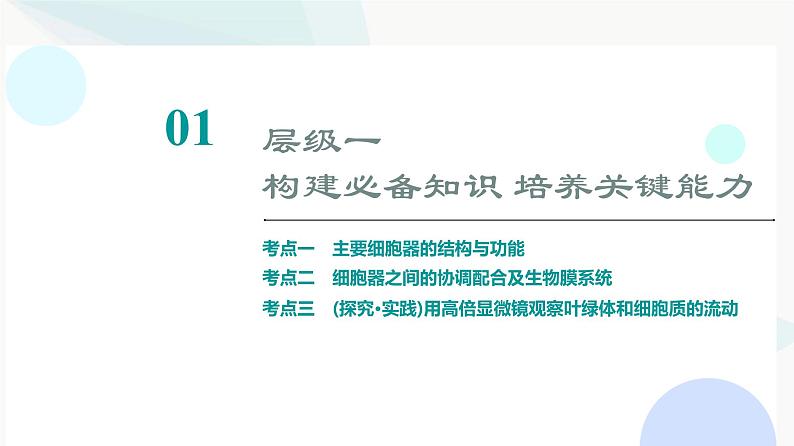 2024届高考生物一轮复习第2单元第5课细胞器之间的分工合作课件第3页