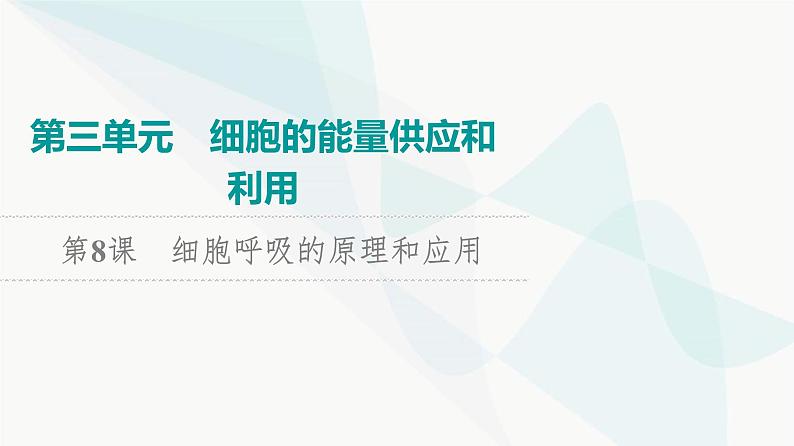 2024届高考生物一轮复习第3单元第8课细胞呼吸的原理和应用课件01