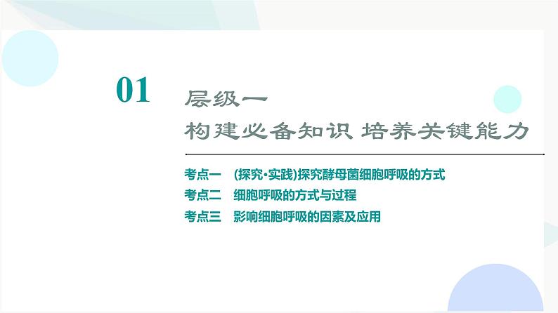 2024届高考生物一轮复习第3单元第8课细胞呼吸的原理和应用课件03