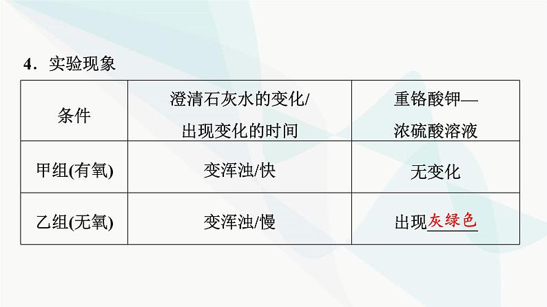 2024届高考生物一轮复习第3单元第8课细胞呼吸的原理和应用课件08