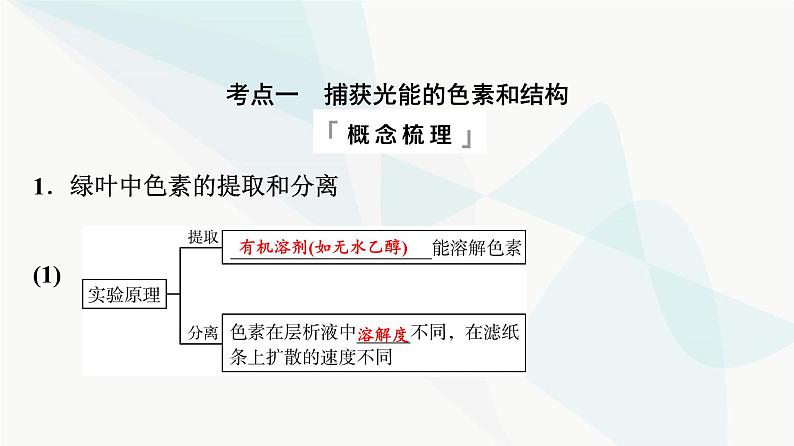 2024届高考生物一轮复习第3单元第9课捕获光能的色素和结构及光合作用过程课件第4页