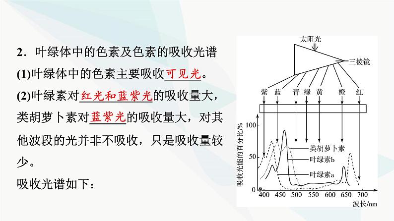 2024届高考生物一轮复习第3单元第9课捕获光能的色素和结构及光合作用过程课件第7页