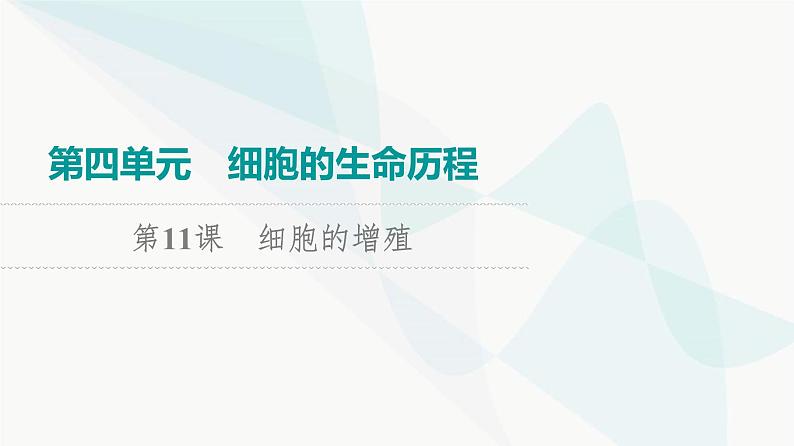 2024届高考生物一轮复习第4单元第11课细胞的增殖课件01