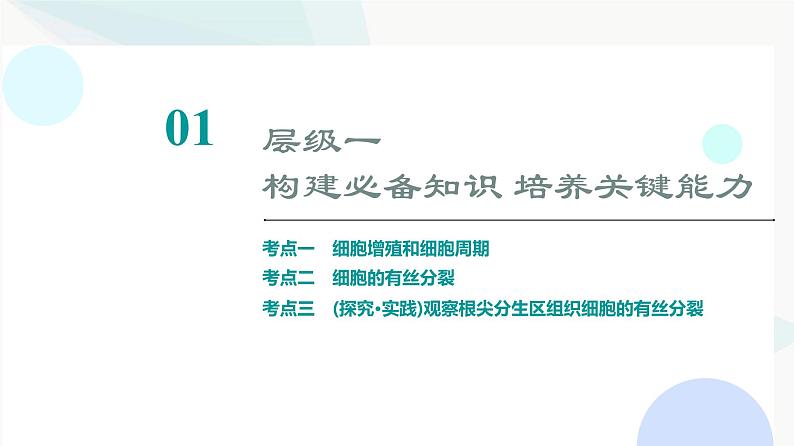 2024届高考生物一轮复习第4单元第11课细胞的增殖课件03