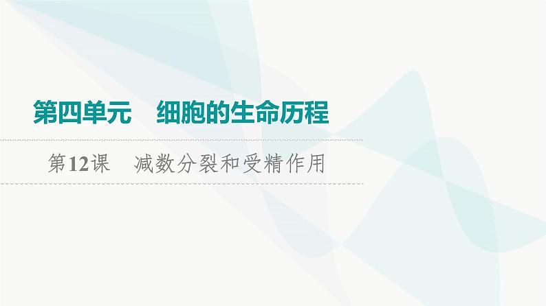 2024届高考生物一轮复习第4单元第12课减数分裂和受精作用课件01