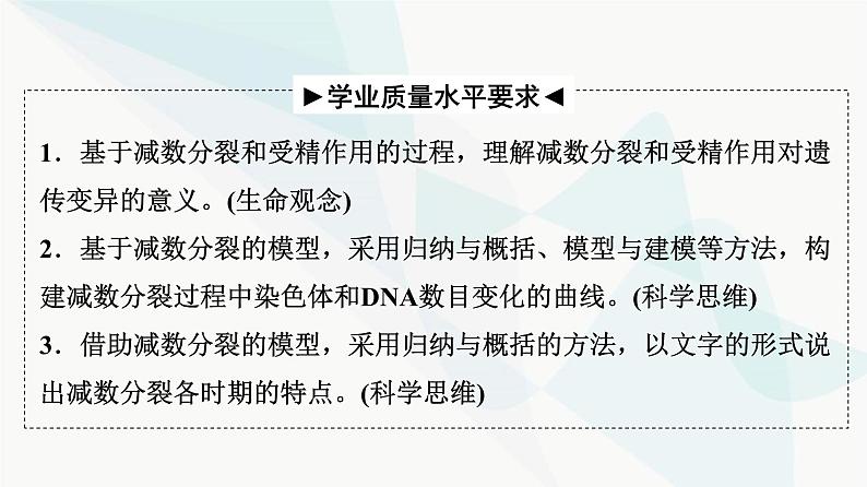 2024届高考生物一轮复习第4单元第12课减数分裂和受精作用课件02