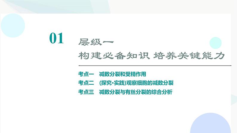 2024届高考生物一轮复习第4单元第12课减数分裂和受精作用课件03