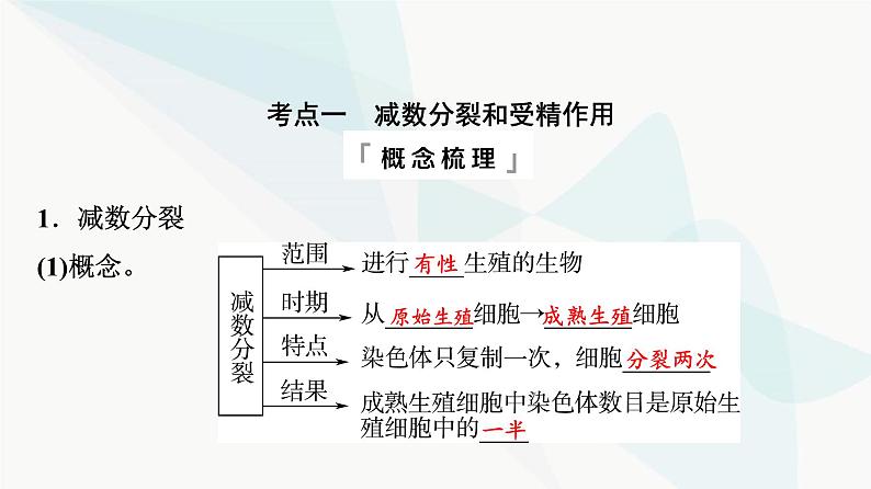 2024届高考生物一轮复习第4单元第12课减数分裂和受精作用课件04