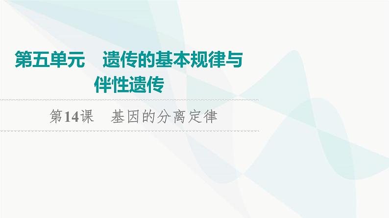 2024届高考生物一轮复习第5单元第14课基因的分离定律课件01