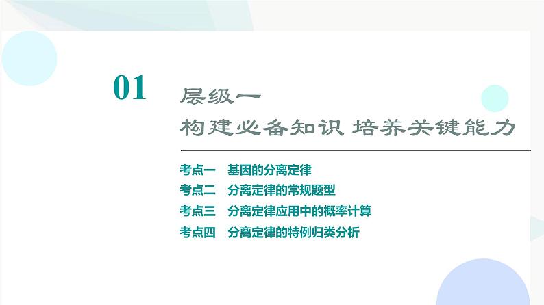 2024届高考生物一轮复习第5单元第14课基因的分离定律课件03