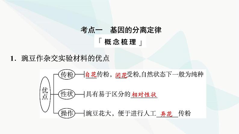 2024届高考生物一轮复习第5单元第14课基因的分离定律课件04