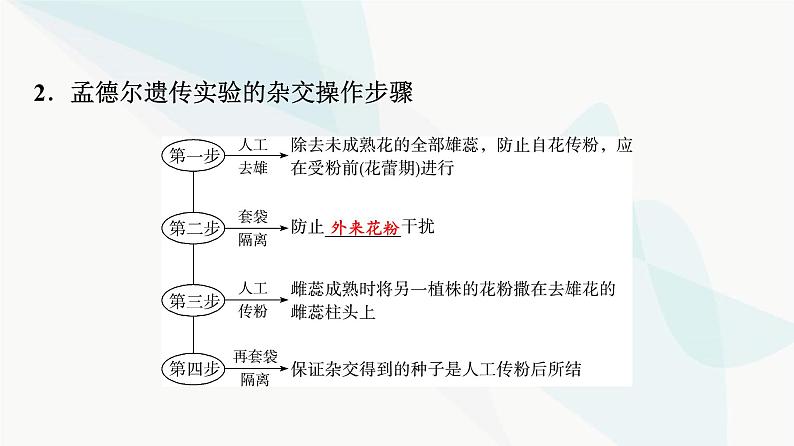 2024届高考生物一轮复习第5单元第14课基因的分离定律课件05