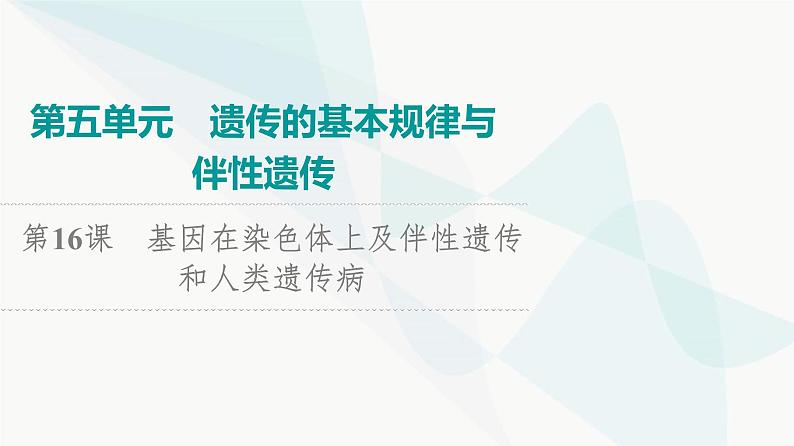2024届高考生物一轮复习第5单元第16课基因在染色体上及伴性遗传和人类遗传病课件01