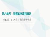 2024届高考生物一轮复习第6单元第17课DNA是主要的遗传物质课件