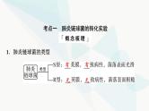 2024届高考生物一轮复习第6单元第17课DNA是主要的遗传物质课件