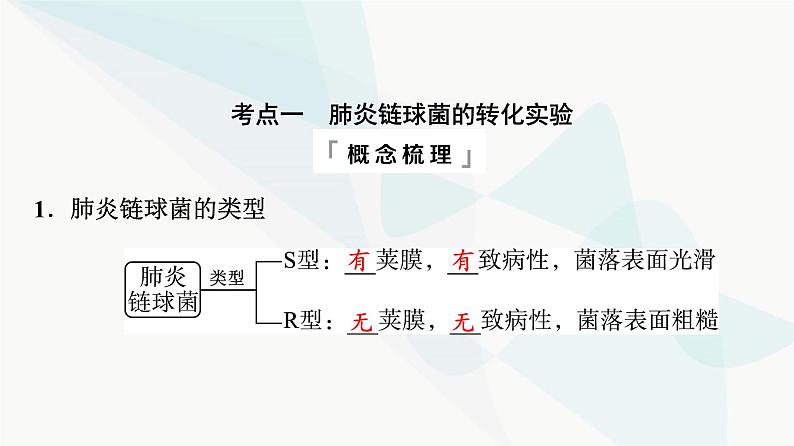 2024届高考生物一轮复习第6单元第17课DNA是主要的遗传物质课件第4页