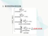 2024届高考生物一轮复习第6单元第17课DNA是主要的遗传物质课件